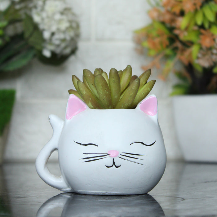 Small Kitty Succulent Pot for Home Decoration
