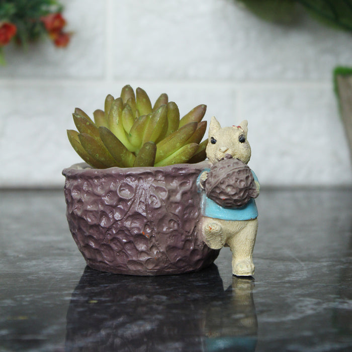 Squirrel with Nut Succulent Pot for Home and Balcony Decoration