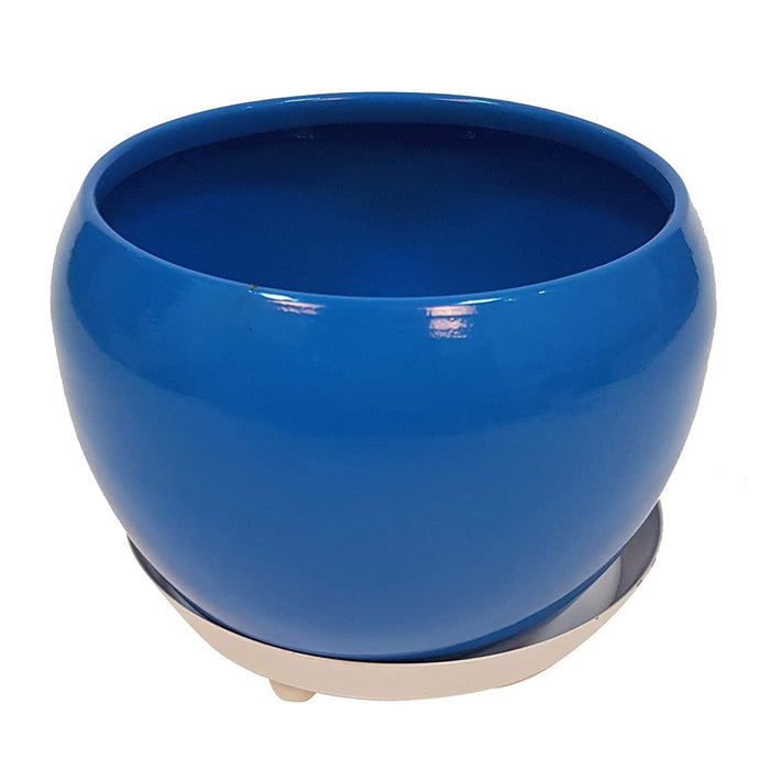 Metal Table Top Planter with Tray for Home Decoration (Blue)