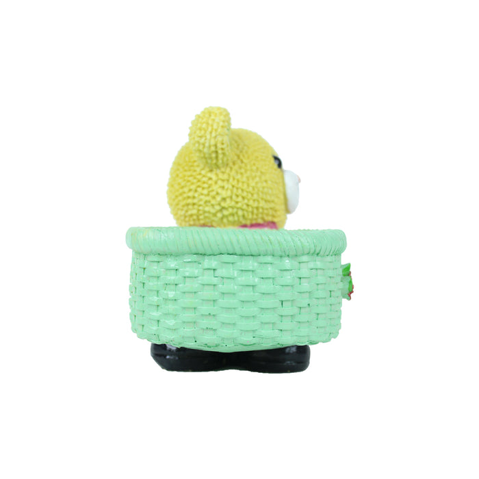 Teddy Bear Succulent for Home Decoration (Yellow)