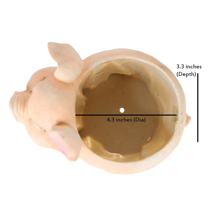 Smiling Pig Pot Planter for Home and Garden Decoration