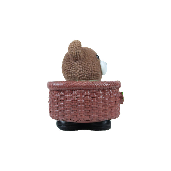 Teddy Bear Succulent for Home Decoration (Brown)