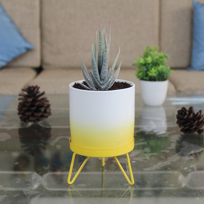 Yellow flame pot with stand