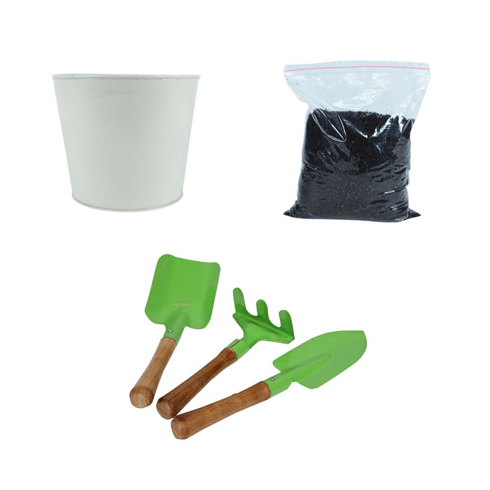DIY Gardening Kit (White Pot with Tools & Soil)