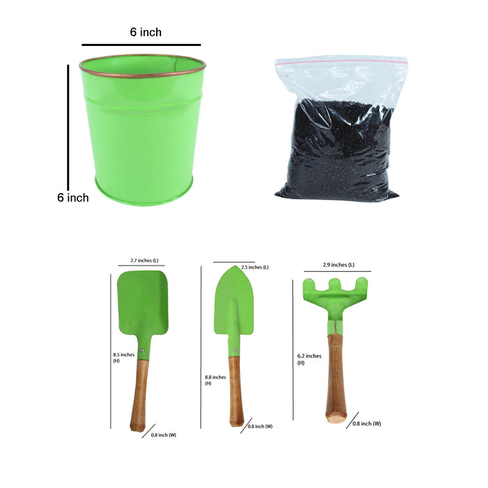 DIY Gardening Kit (Green Pot with Tools & Soil)