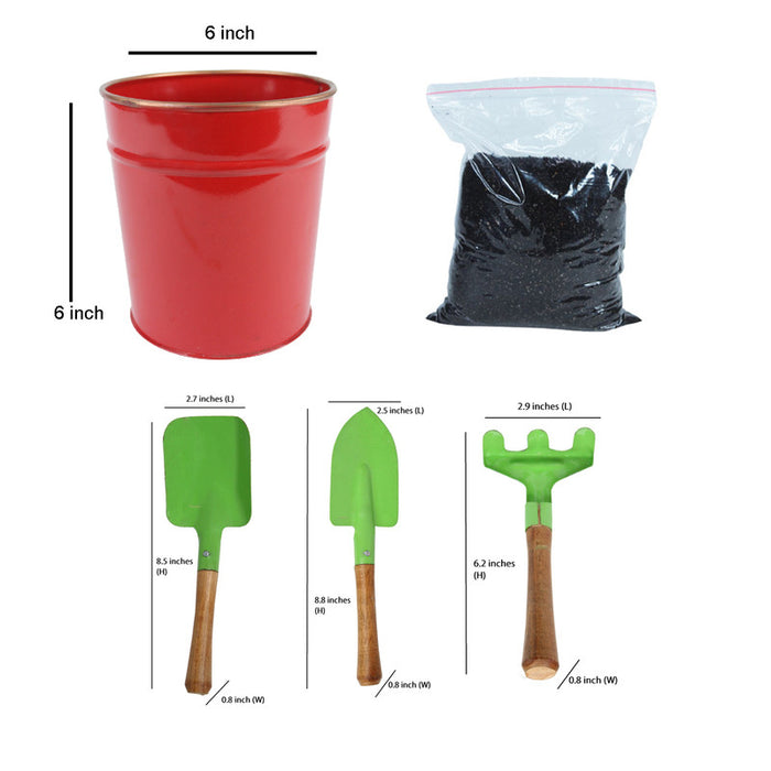 DIY Gardening Kit (Red Pot with Tools & Soil)