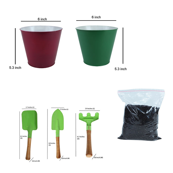 DIY Gardening Kit (Green & Red with Tools)