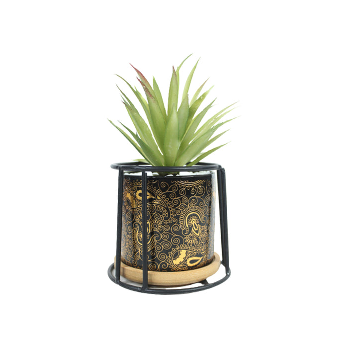 Small Marble Black Ceramic Pot with Succulent Flower