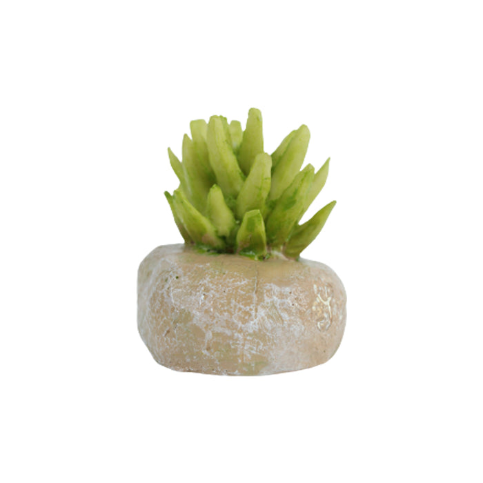 Miniature Toy : Set of 4 Resin Cactus