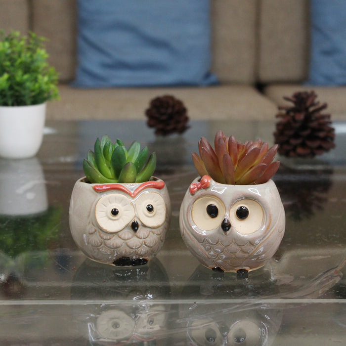 Imported  Set of 2 Ceramic Small Size Plants Pot