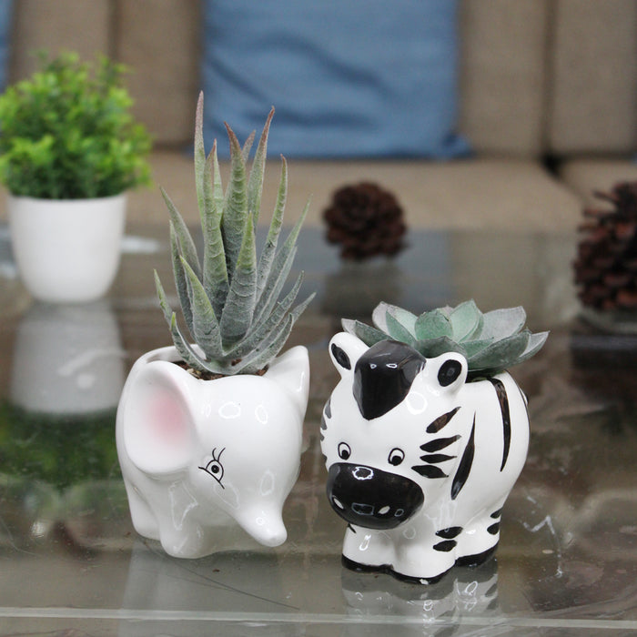 Imported Set of 2 Ceramic Zebra and Elephant Small Size plant Pot
