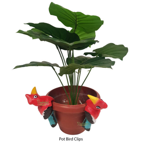 pots and planter