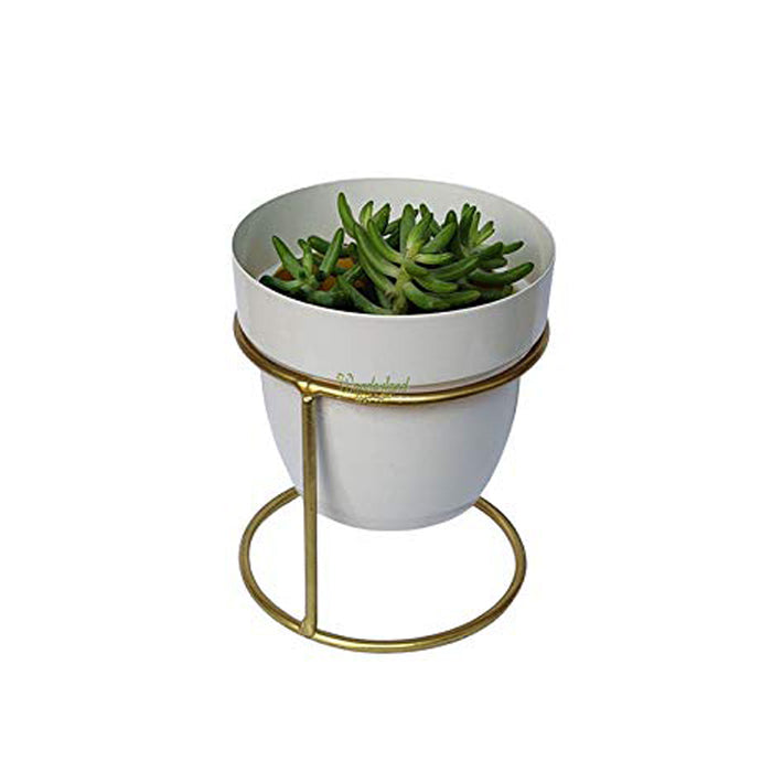 Gold and White Metal Planter for Home Decoration
