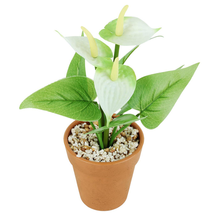 Artificial Anthurium Flower with Plastic Pot in White