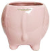 Elephant Ceramic Pot for Home and Garden Decoration (Pink) - Wonderland Garden Arts and Craft