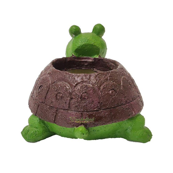 Turtle Shaped Succulent Pot for Home and Balcony Decoration