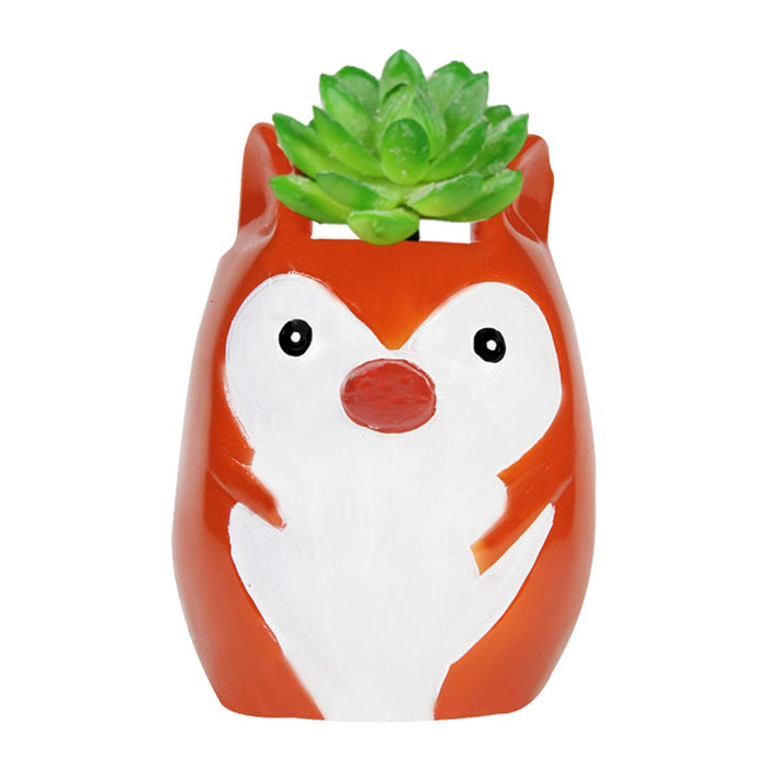 Mouse Succulent Pot for Home and Balcony Decoration