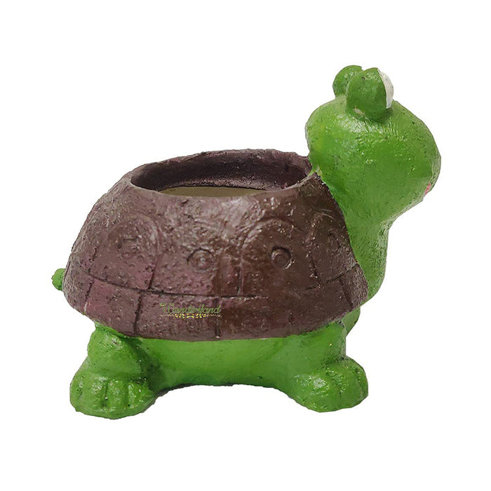 Turtle Shaped Succulent Pot for Home and Balcony Decoration