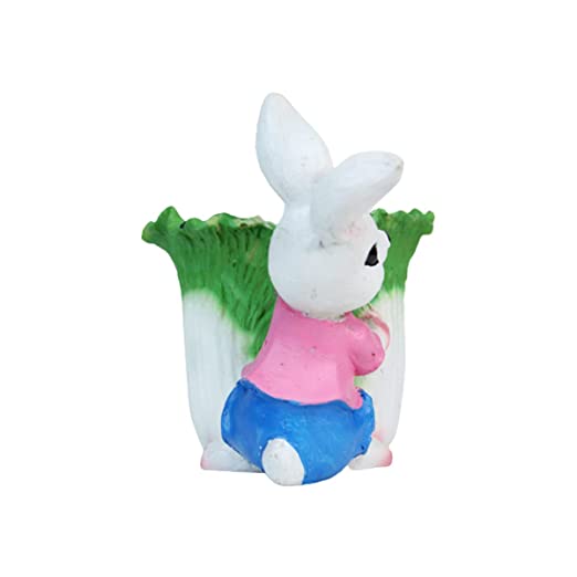 Bunny with Cabbage Succulent Pot for Home and Balcony Decoration