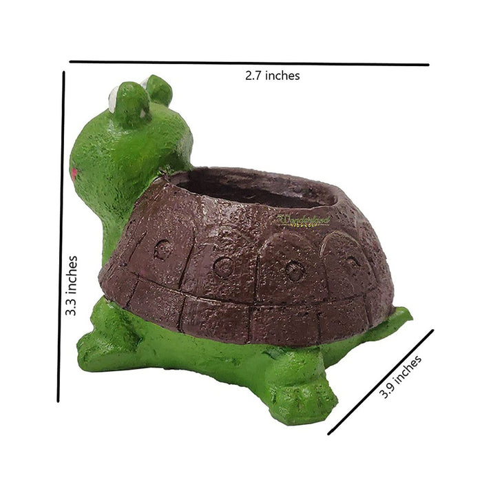 Turtle Shaped Succulent Pot for Home and Balcony Decoration
