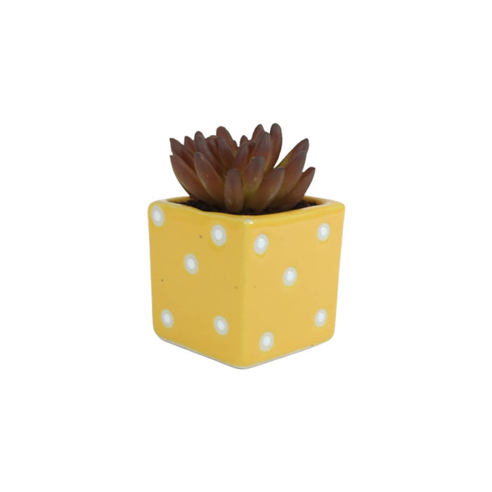 Ceramic planters Small Square Dice Pot (Yellow)