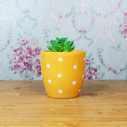 Ceramic Small Dot Pot for Home Decoration (Orange) - Wonderland Garden Arts and Craft