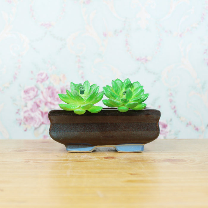 Ceramic Small Bonsai Tray for Home Decoration (Blue)