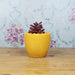 Ceramic Small Flower Shape Pot for Home Decoration (Yellow) - Wonderland Garden Arts and Craft
