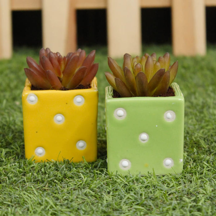 (Set of 2) Mini Size Ceramic Square Dice Pots for Succulents