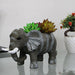 Elephant Succulent Pot for Home and Balcony Decoration - Wonderland Garden Arts and Craft